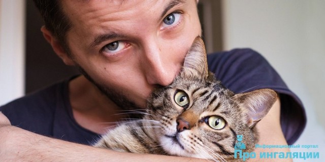 Як проявляється алергія на кішок: симптоми і ознаки у дорослих