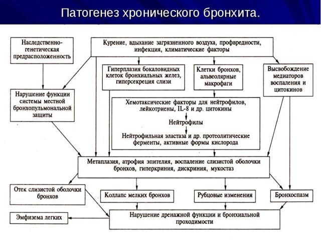 Бронхіт при вагітності - чим небезпечний, методи лікування