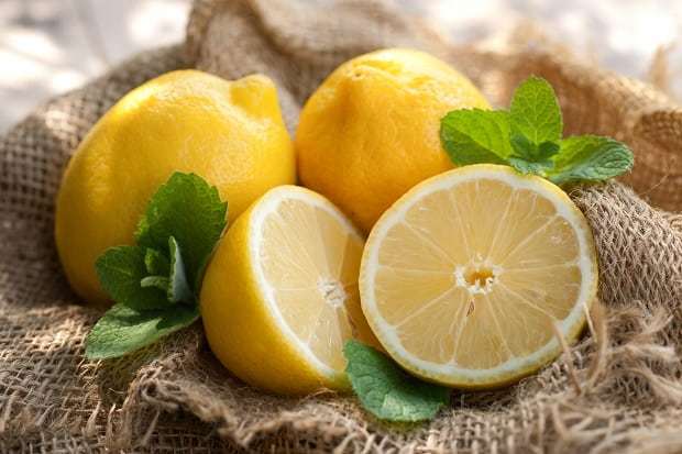 Лимон: користь і шкода для організму, калорійність, склад БЖУ на 100 грам, як приймати