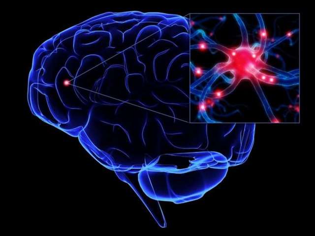 Ішемія головного мозку в літньому віці: симптоми і лікування, наслідки
