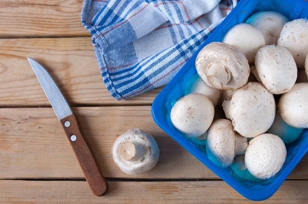 Калорійність грибів на 100 грам, БЖУ, користь і шкода для організму людини