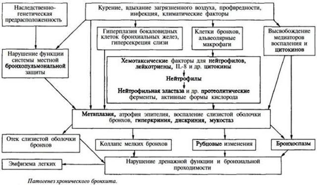 Бронхіт при вагітності - чим небезпечний, методи лікування